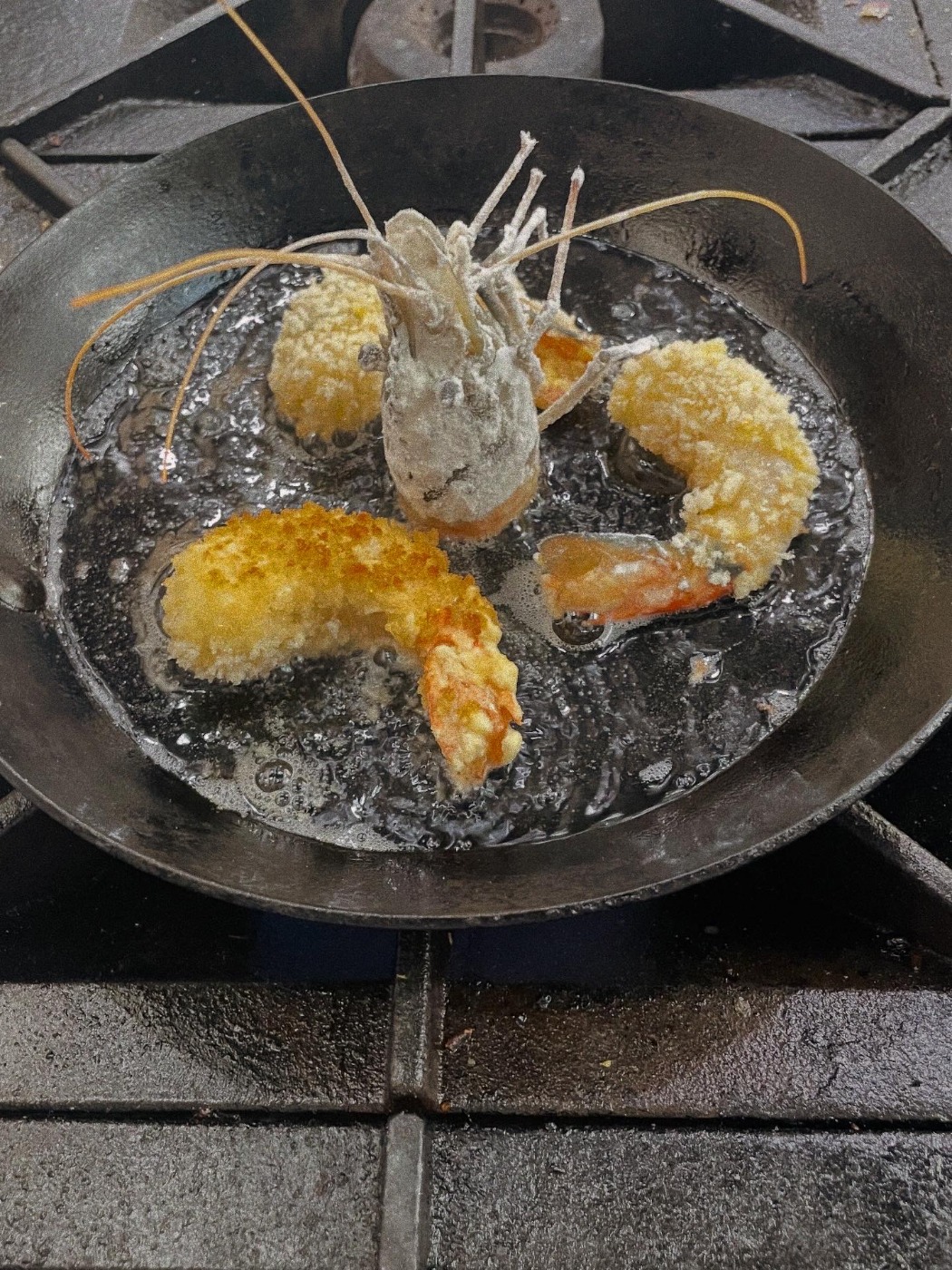 57669BFB-817E-481D-BCA1-B61F9ACAE45E.jpeg 57669BFB-817E-481D-BCA1-B61F9ACAE45E.jpeg