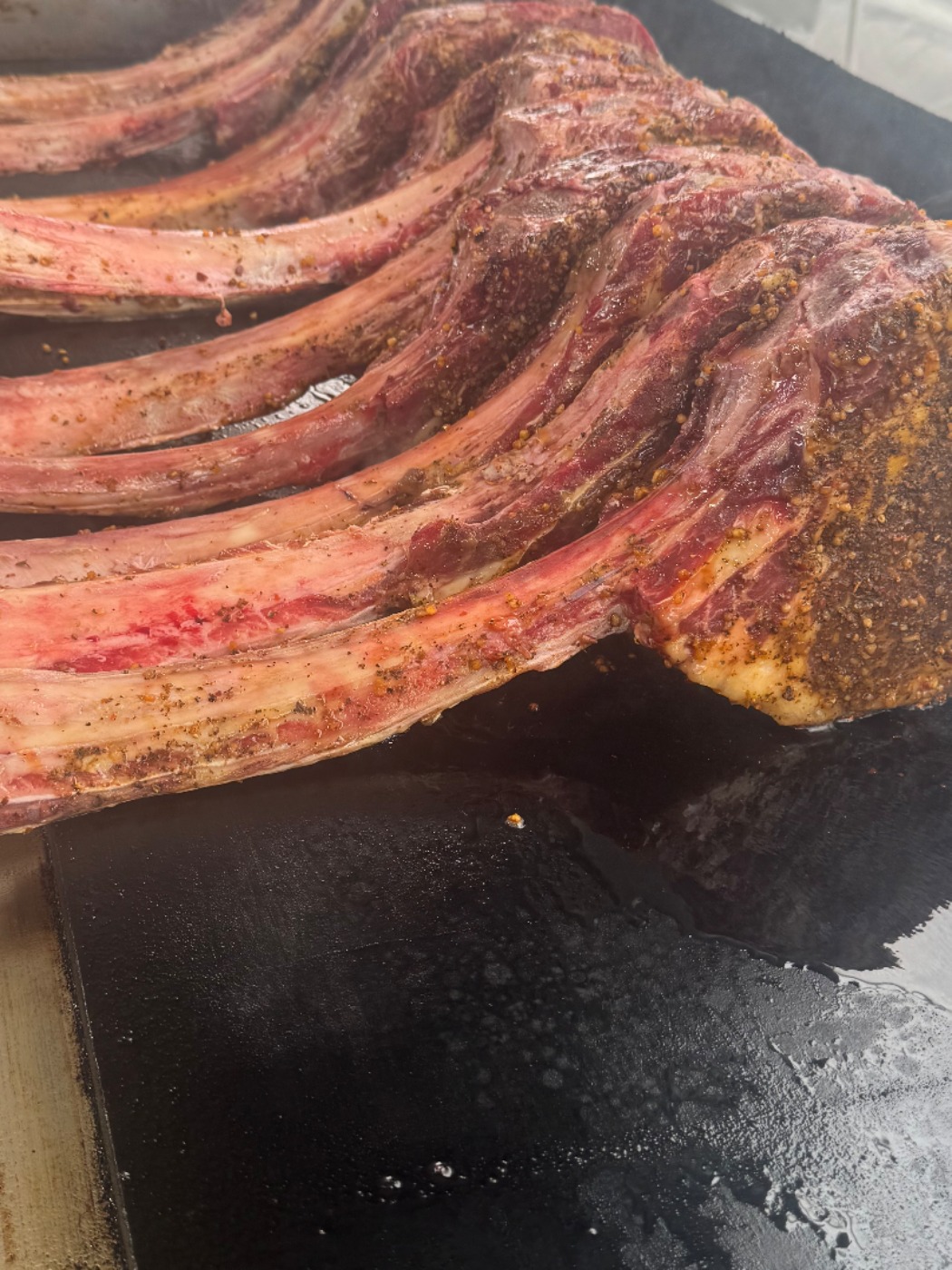 IMG_5705.jpeg IMG_5705.jpeg