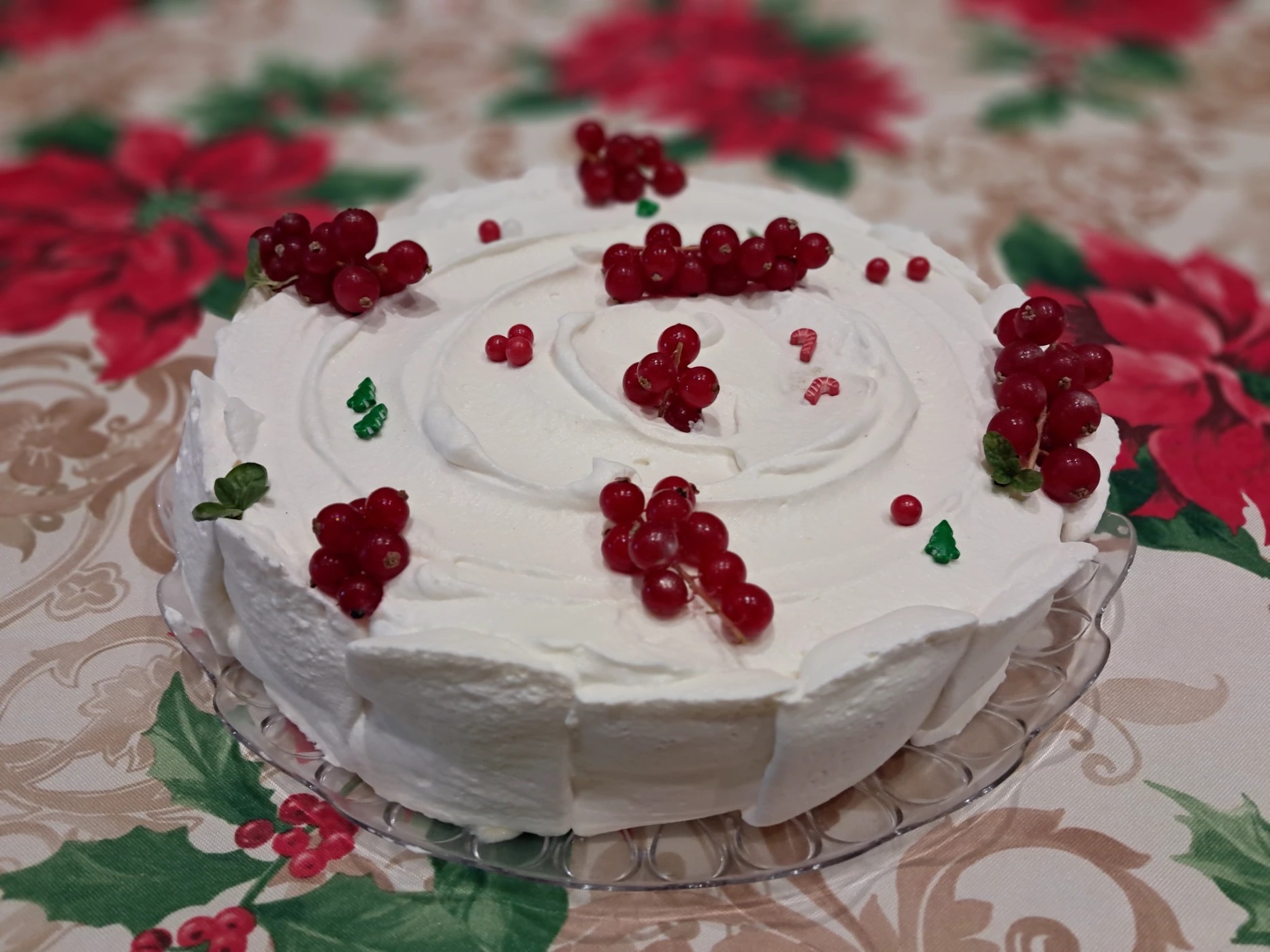 1000230398.jpg 1000230398.jpg