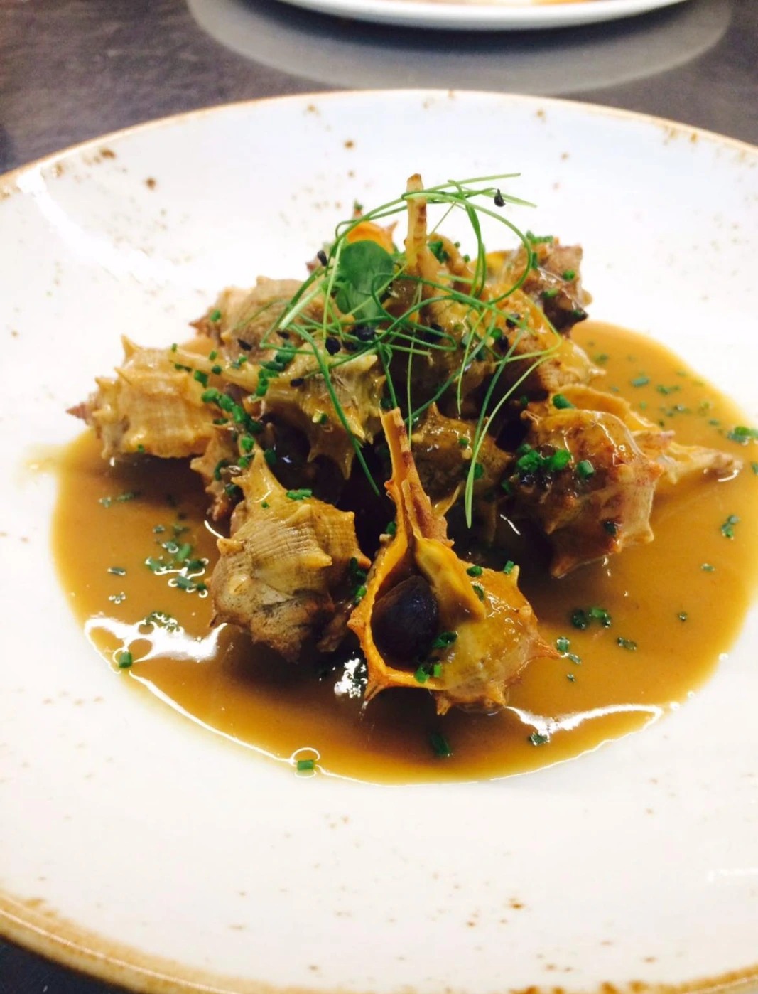 WhatsApp Image 2025-12-20 at 15.10.19 (5).jpeg