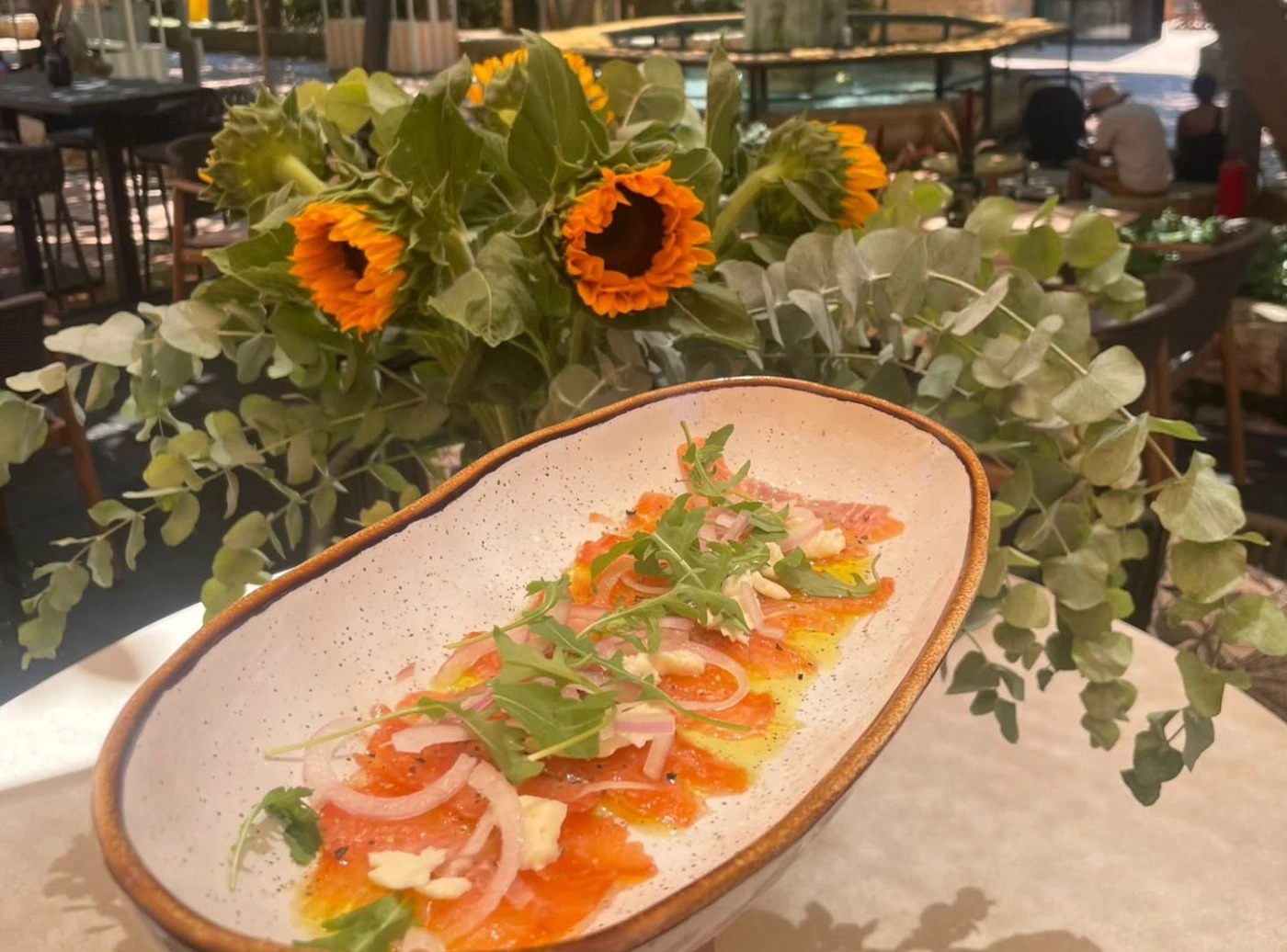 541745530_17848825824551847_5899879340170549921_n.jpeg 541745530_17848825824551847_5899879340170549921_n.jpeg