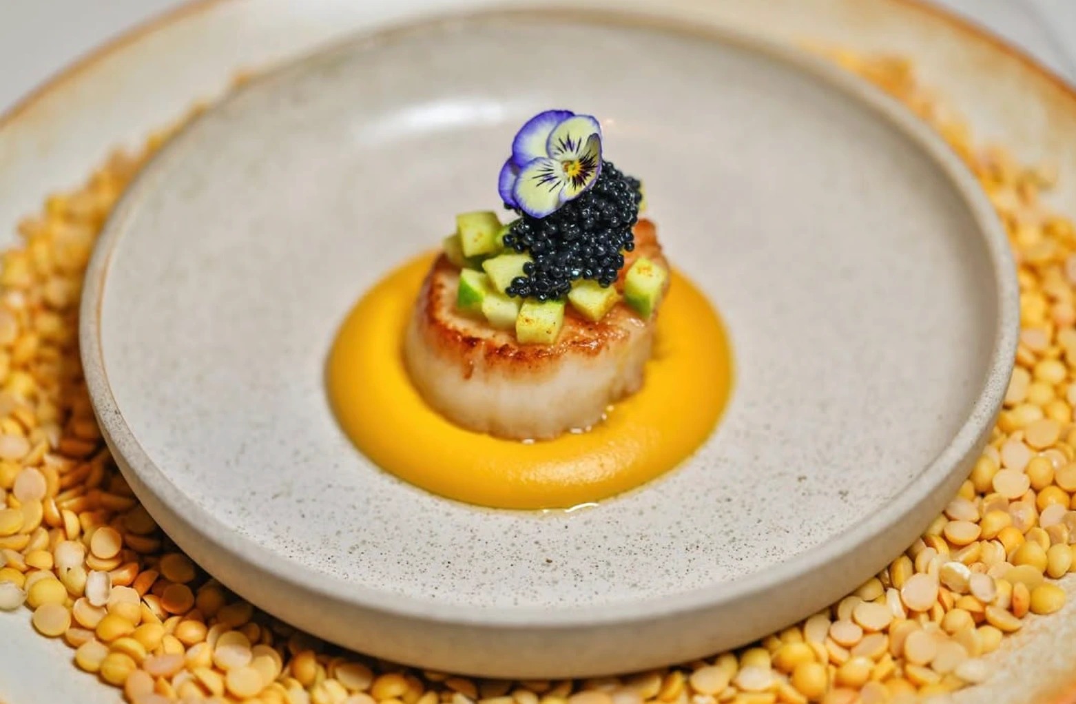 Screenshot 2025-12-22 at 9.00.08 a.m..png Screenshot 2025-12-22 at 9.00.08 a.m..png