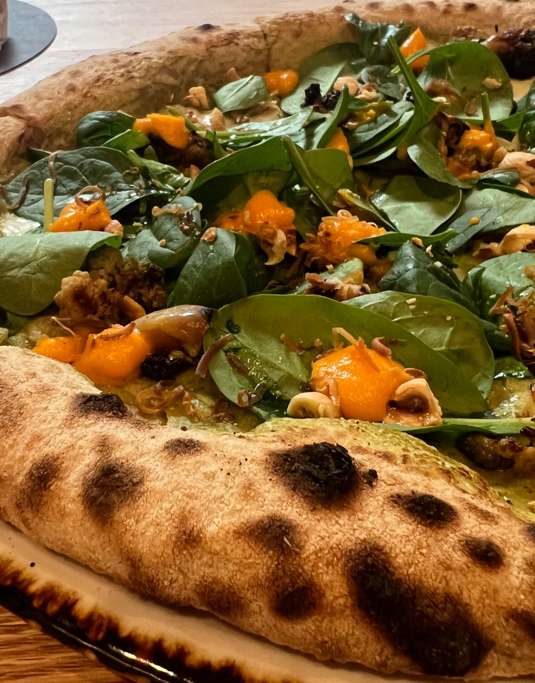 IMG_6476.jpeg IMG_6476.jpeg