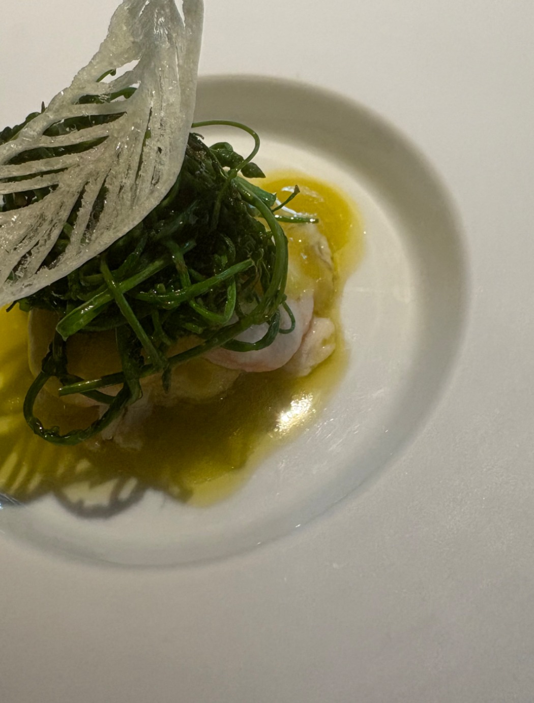 IMG_3084.jpeg IMG_3084.jpeg