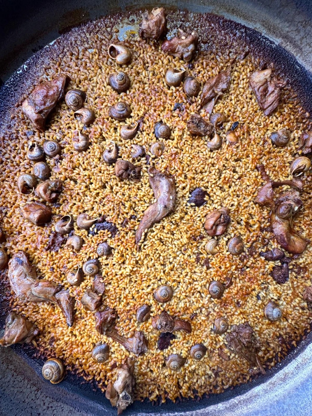 WhatsApp Image 2025-12-23 at 12.46.42 (6).jpeg