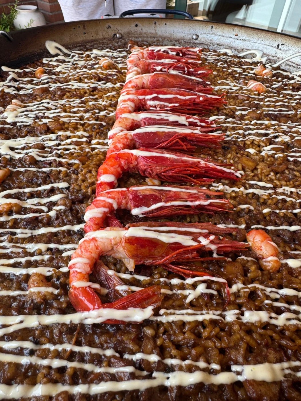 WhatsApp Image 2025-12-23 at 12.46.42 (1).jpeg