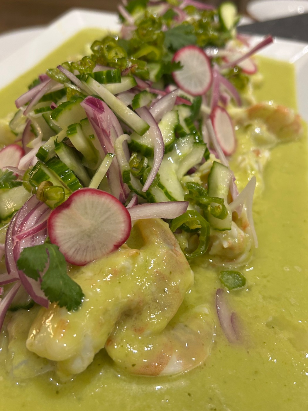 IMG_6720.jpeg IMG_6720.jpeg