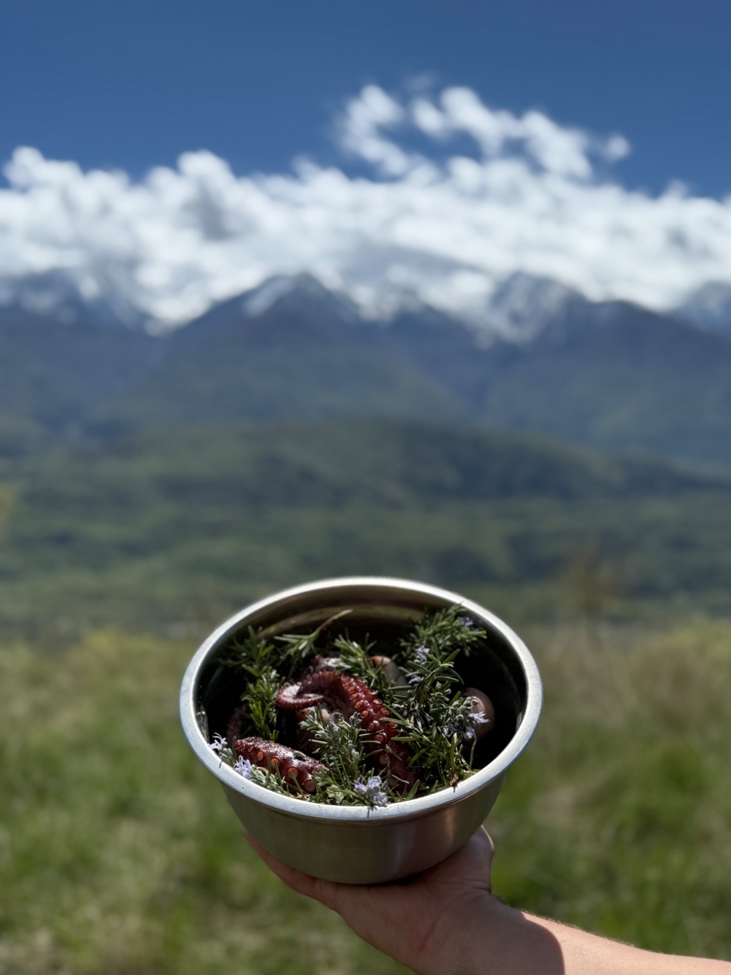 IMG_1194.jpeg IMG_1194.jpeg