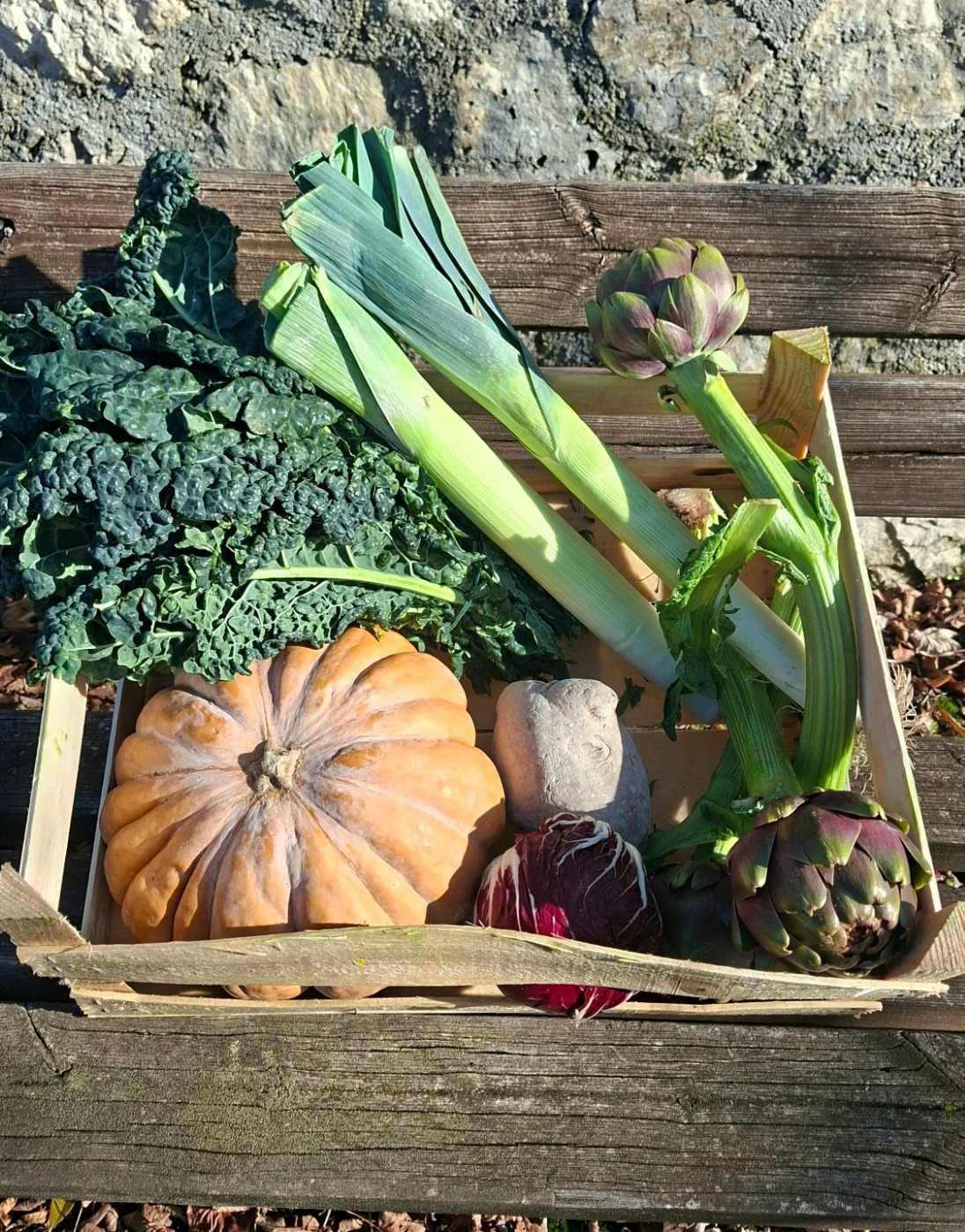 20251219_123040.jpg 20251219_123040.jpg