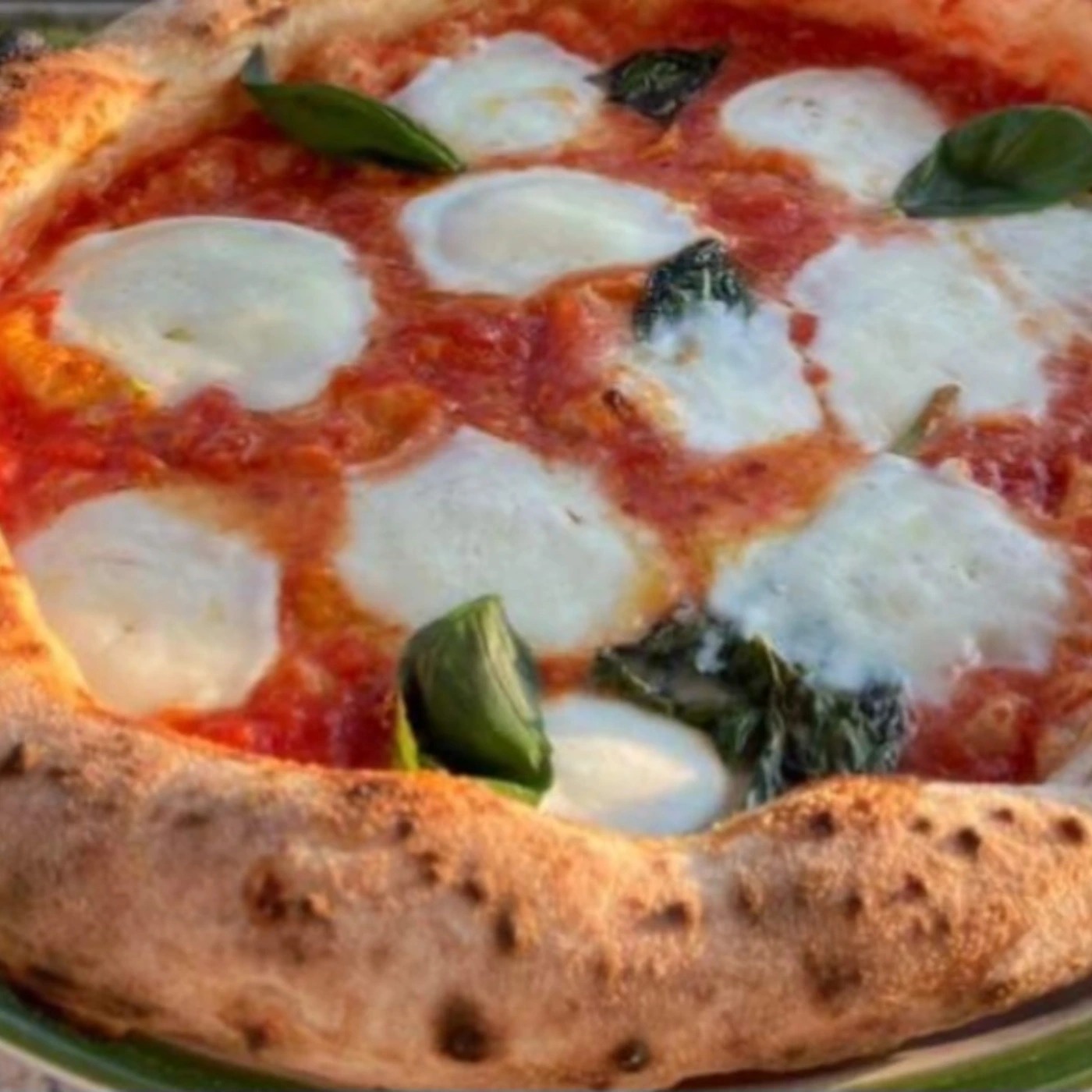 IMG_20241125_165336_082.webp IMG_20241125_165336_082.webp