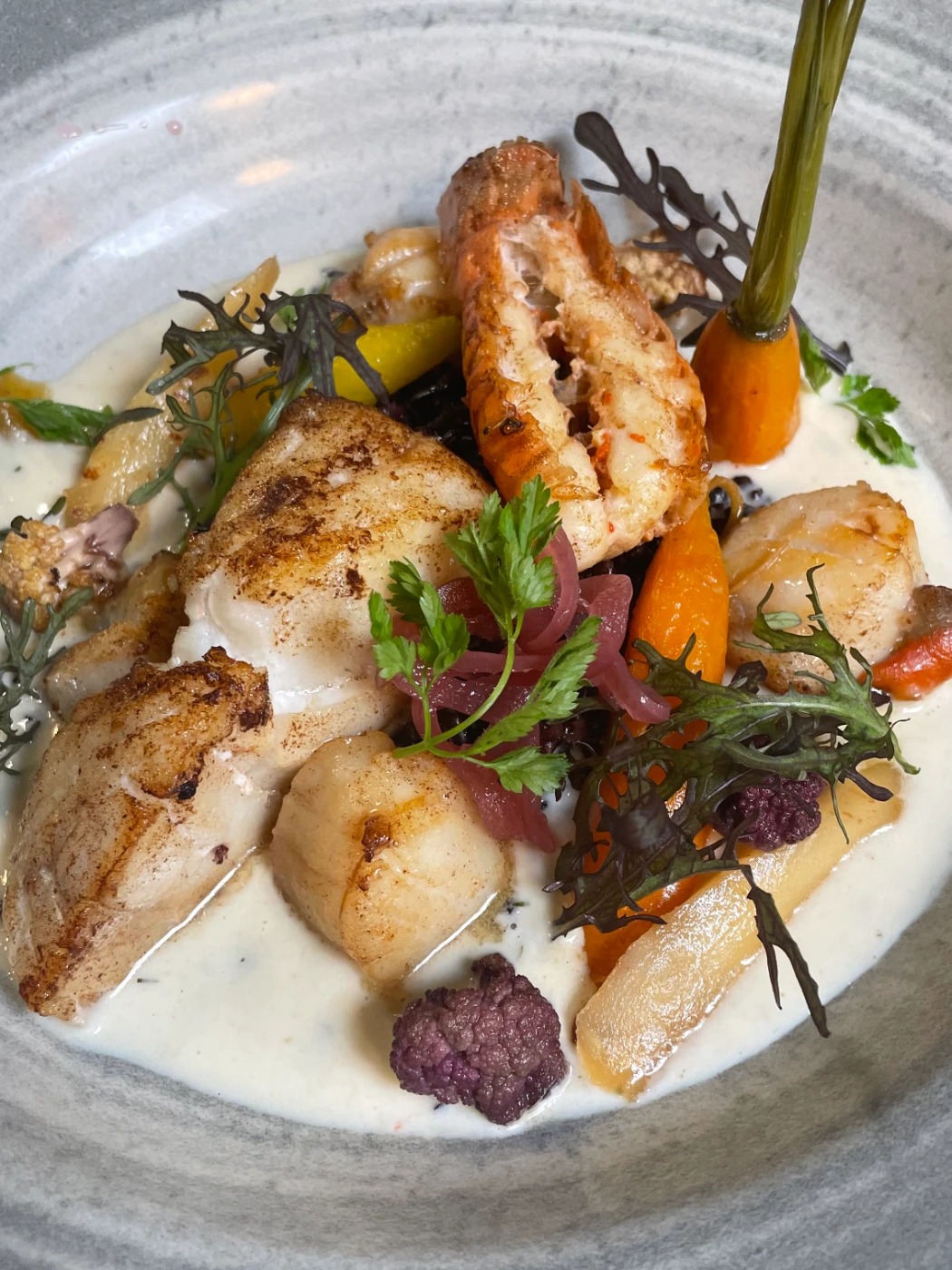 IMG_0678.jpeg IMG_0678.jpeg