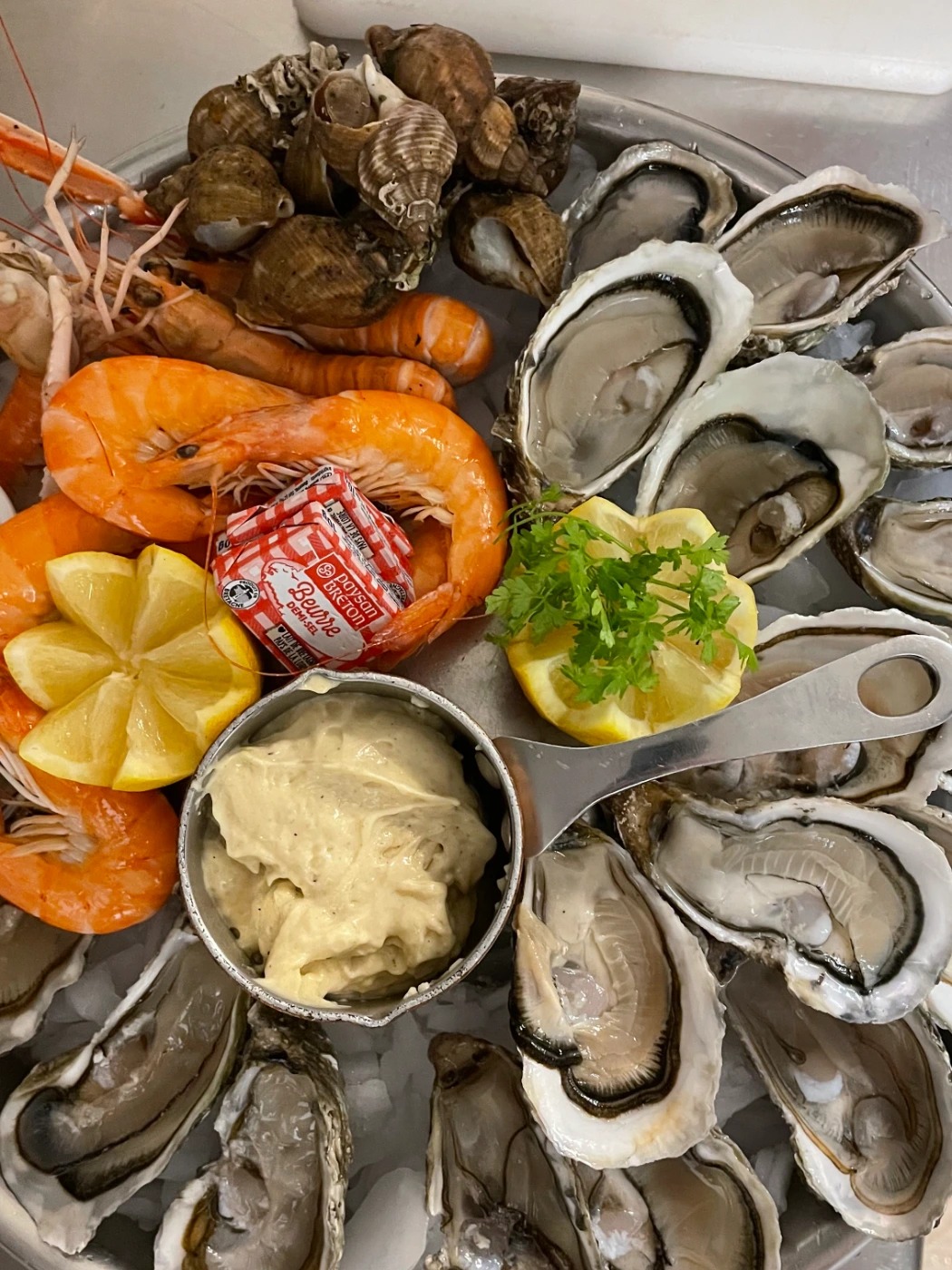 IMG_0826.jpeg IMG_0826.jpeg