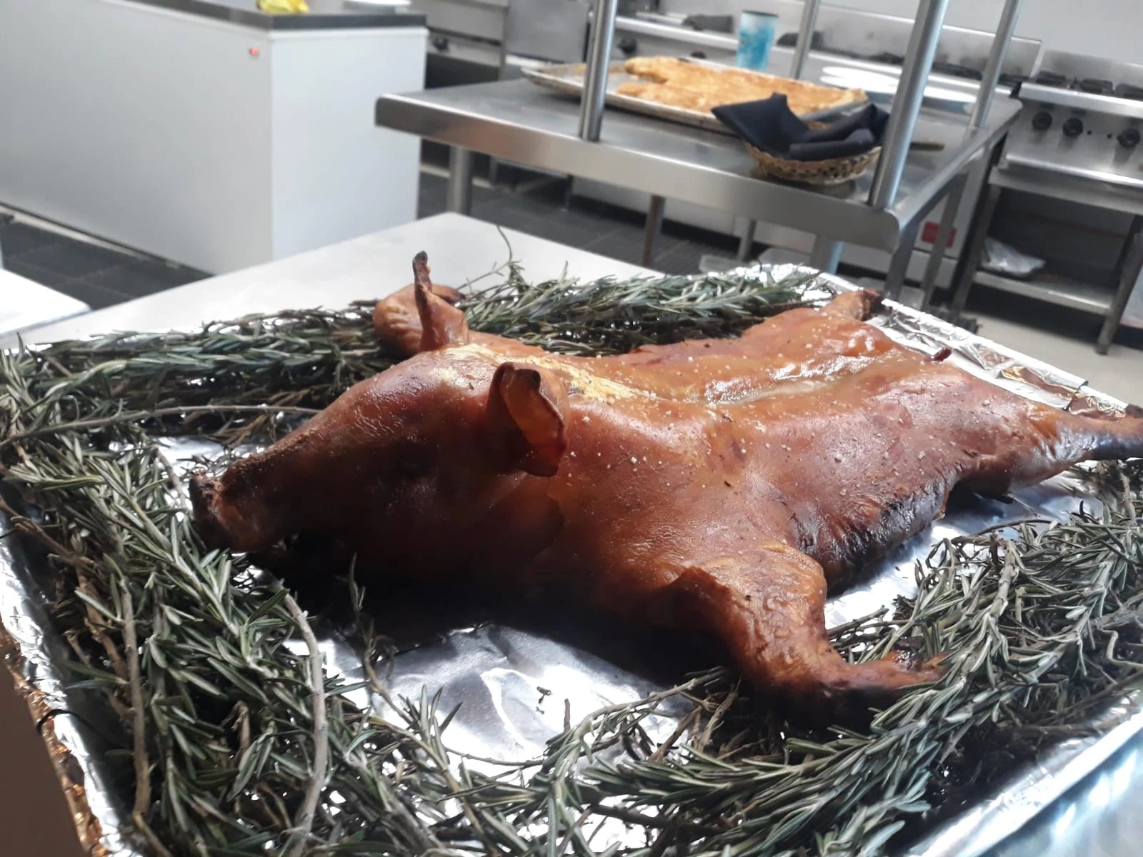 WhatsApp Image 2025-12-26 at 9.25.38 PM.jpeg