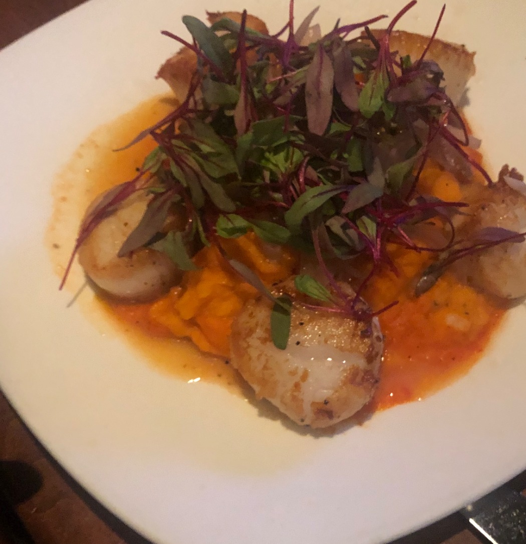 IMG_0557.jpeg IMG_0557.jpeg