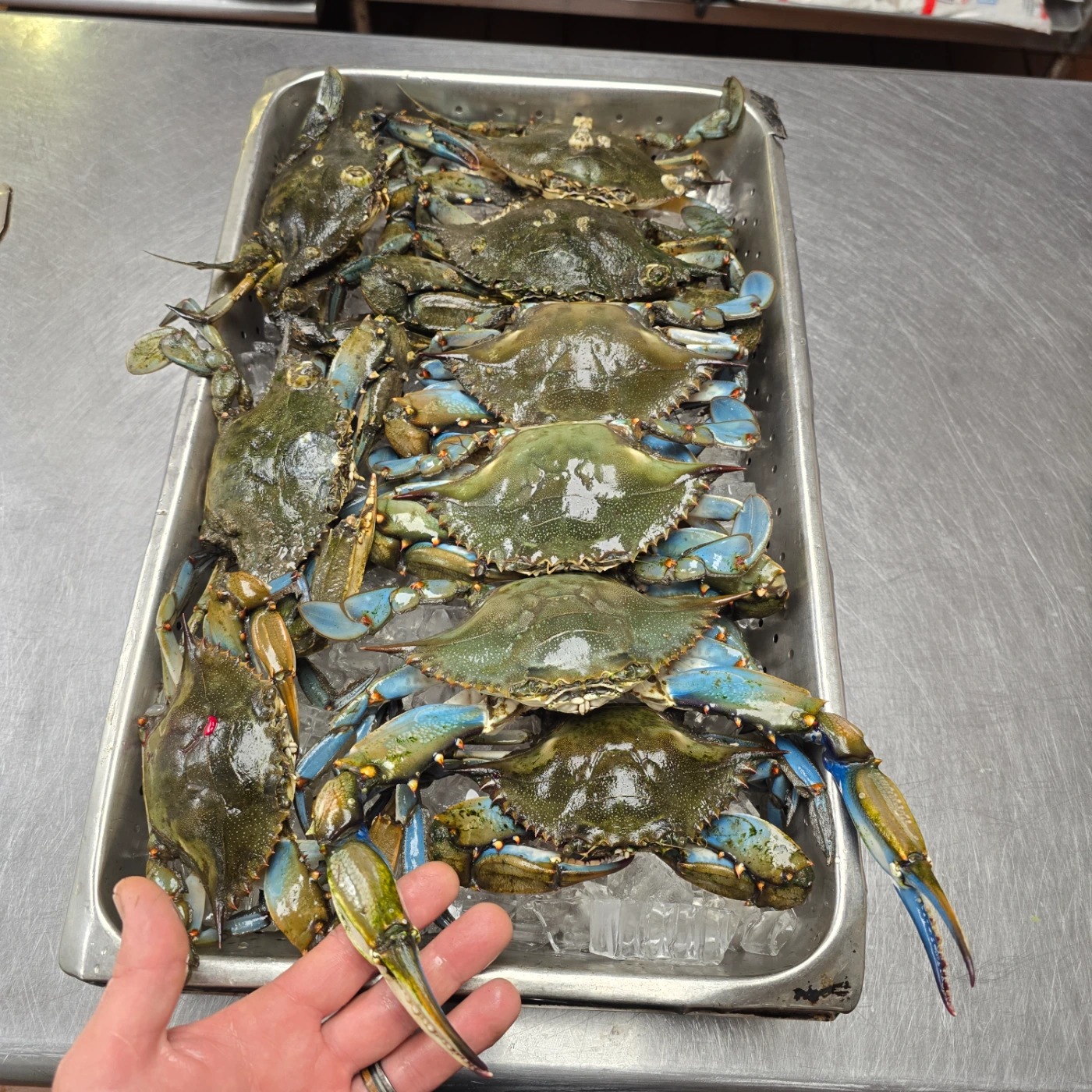 1000002799.jpg 1000002799.jpg