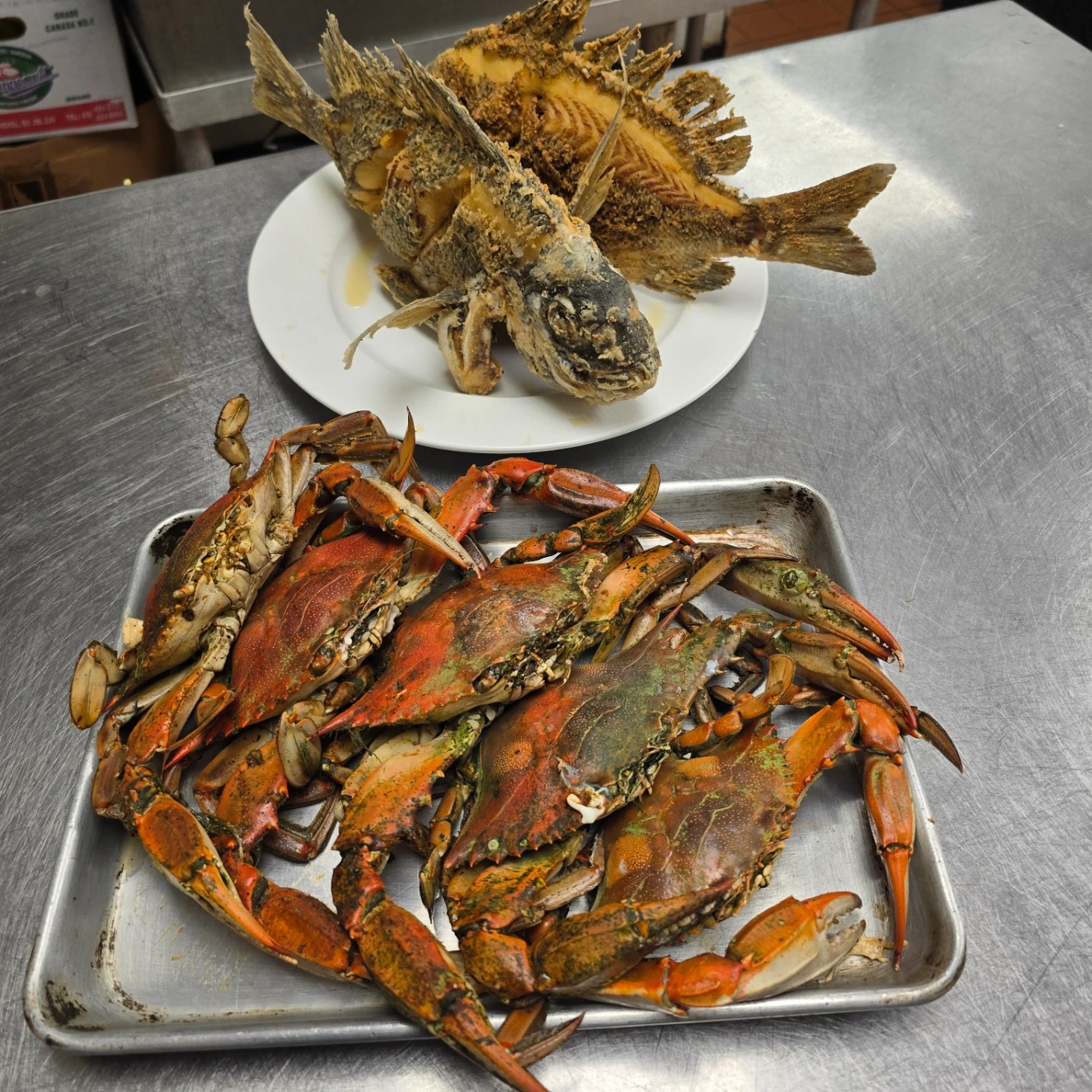 1000002516.jpg 1000002516.jpg