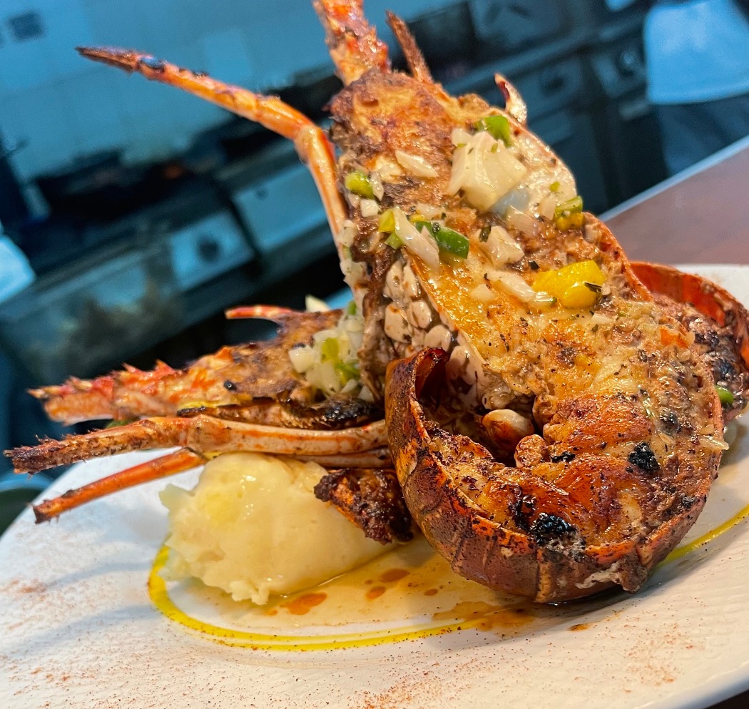 IMG_5091.jpeg IMG_5091.jpeg