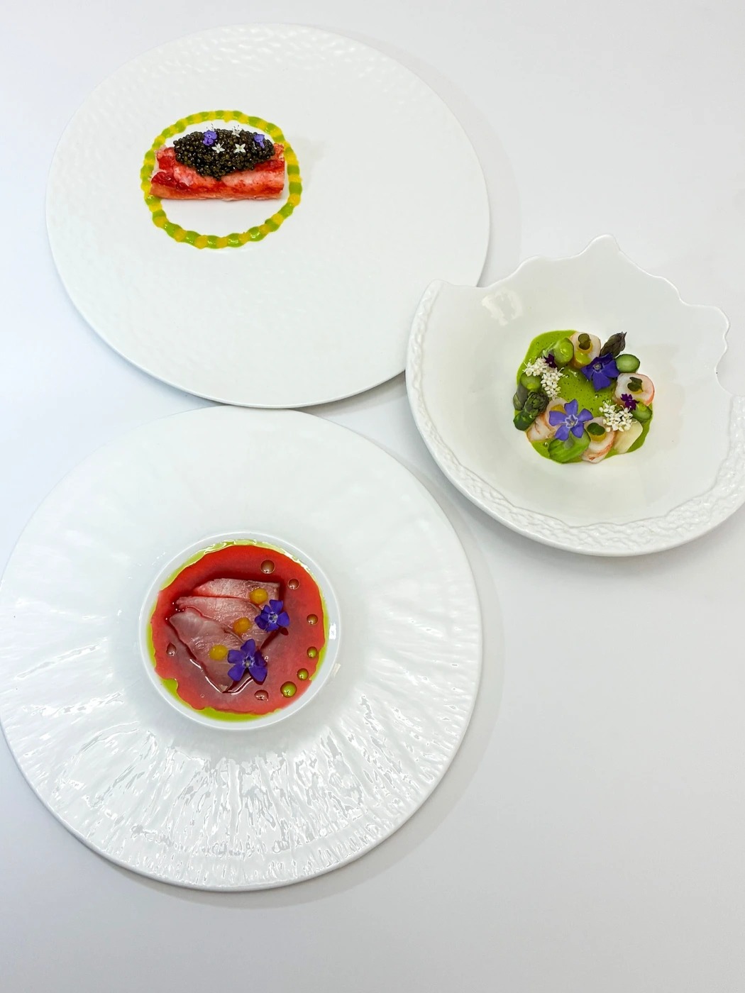 545206541_18051281312535553_8654422778655462905_n.jpg 545206541_18051281312535553_8654422778655462905_n.jpg