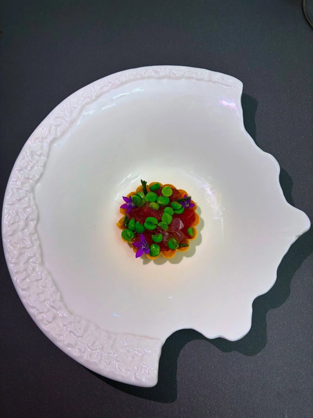 510043512_18043628990535553_6865950199729900236_n.jpg 510043512_18043628990535553_6865950199729900236_n.jpg