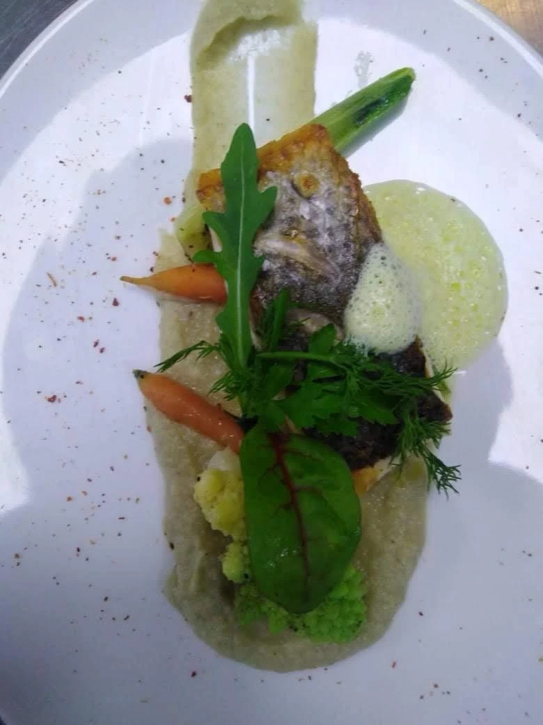 WhatsApp Image 2025-12-28 at 17.31.45.jpeg