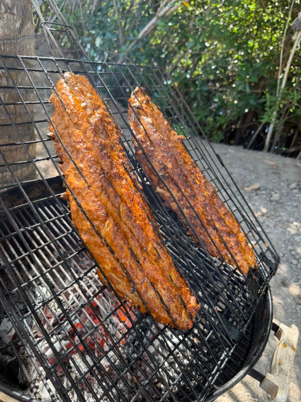 1000332317.jpg 1000332317.jpg