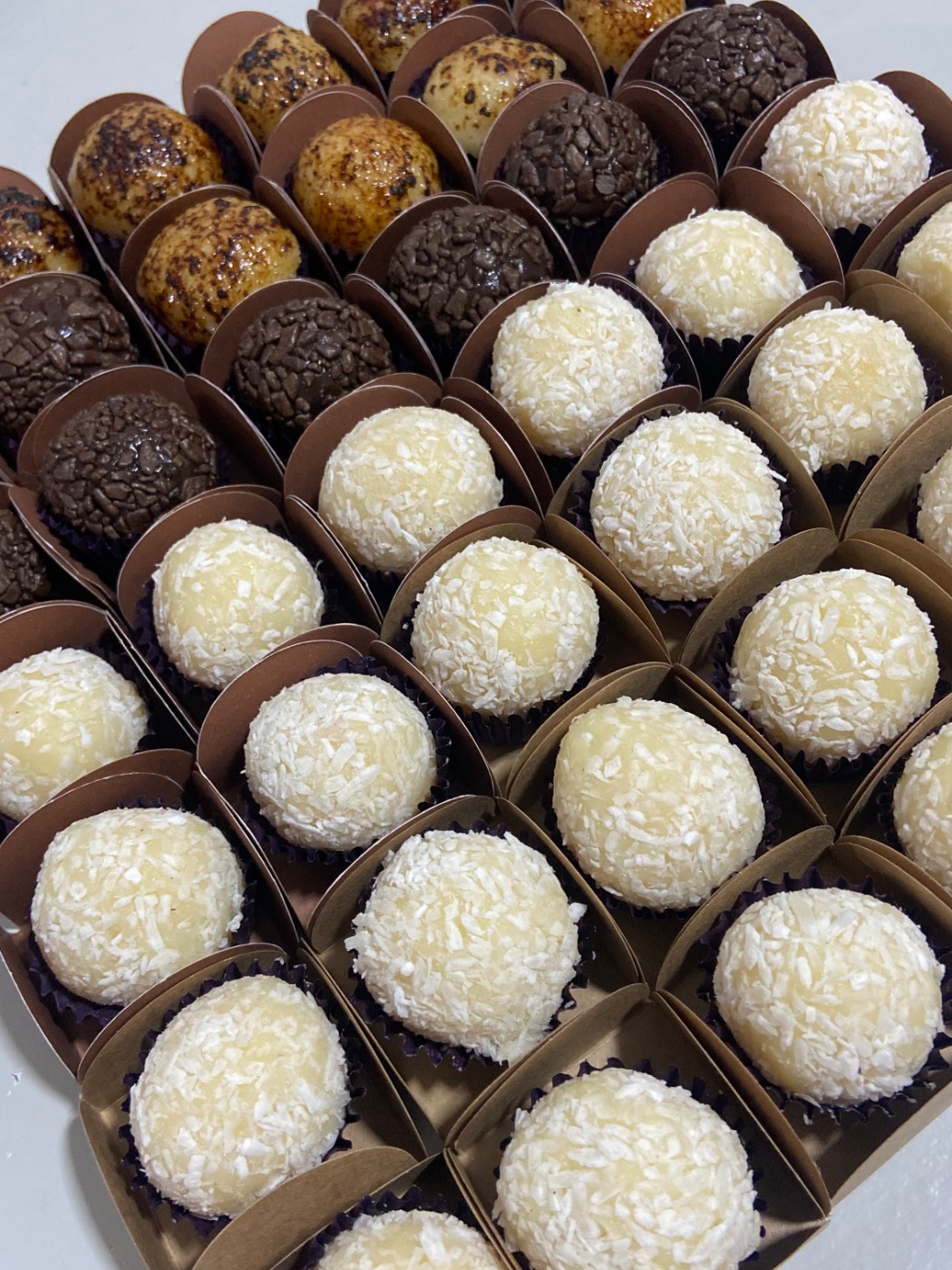 IMG_0595.jpeg IMG_0595.jpeg