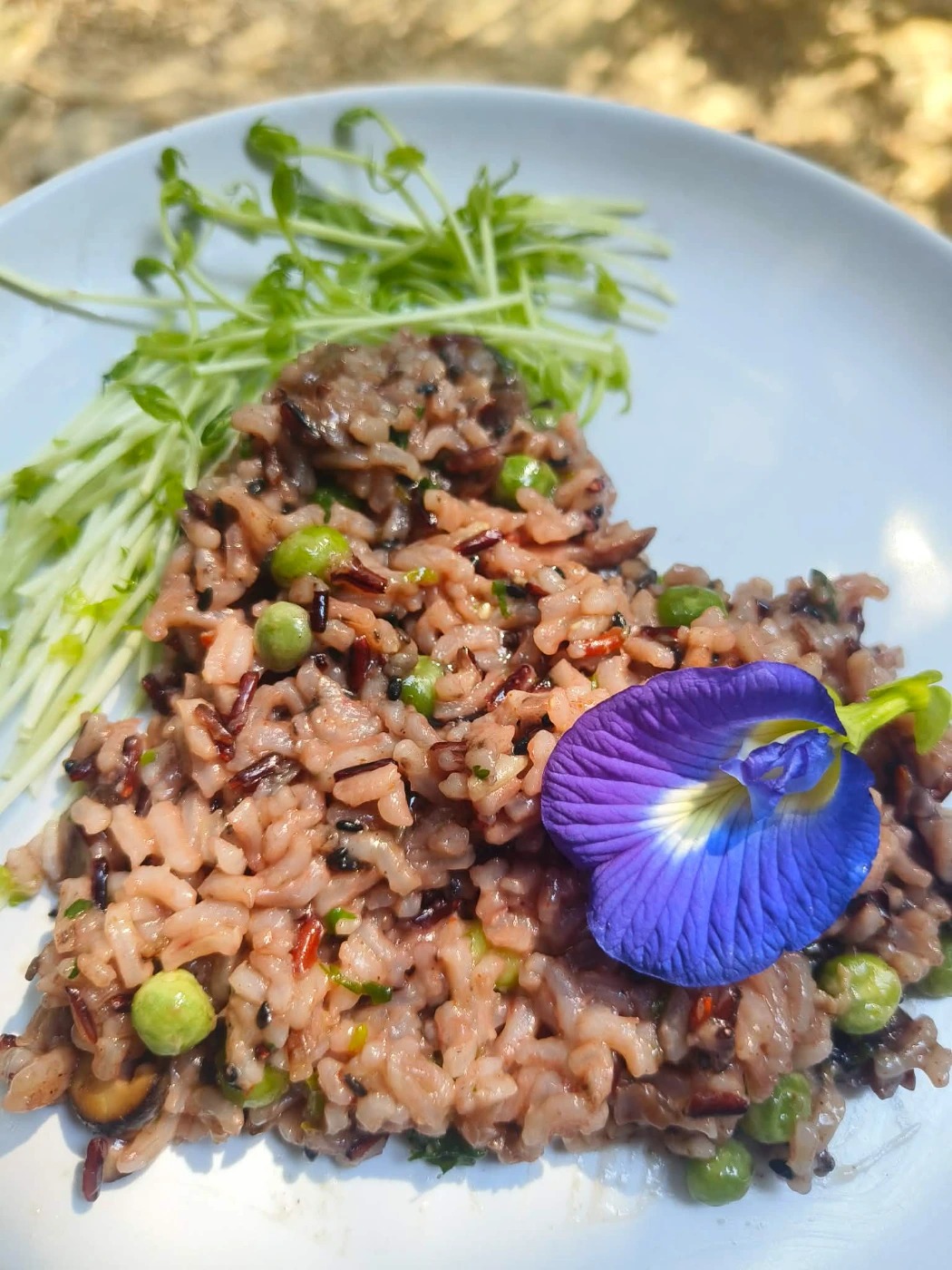 e88eecde-9aee-45ff-a74f-e498e643d228 (1).jpeg e88eecde-9aee-45ff-a74f-e498e643d228 (1).jpeg