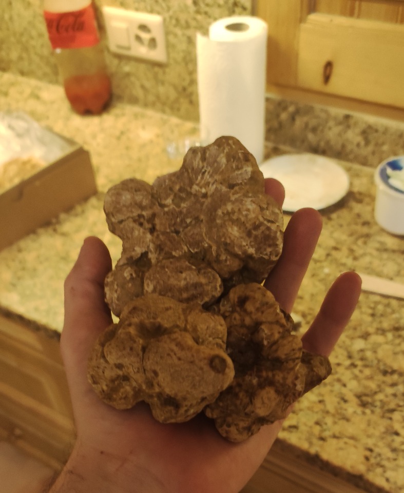 1000050625.jpeg 1000050625.jpeg