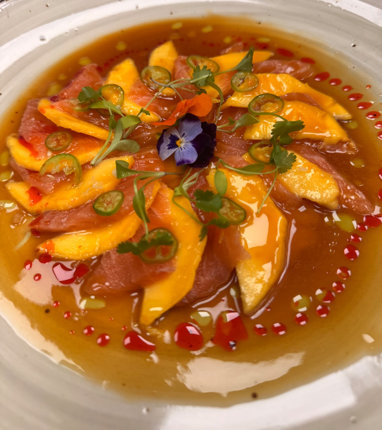 IMG_3181.jpeg IMG_3181.jpeg