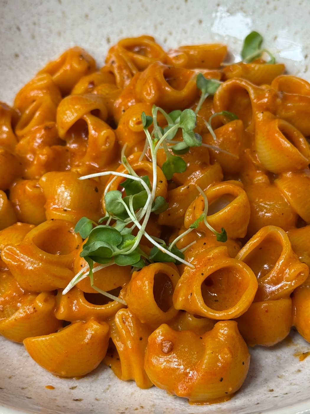 IMG_7412.jpeg IMG_7412.jpeg