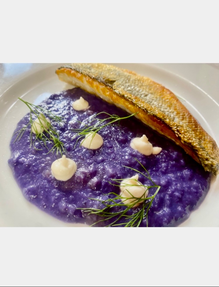 IMG_8079.jpeg IMG_8079.jpeg