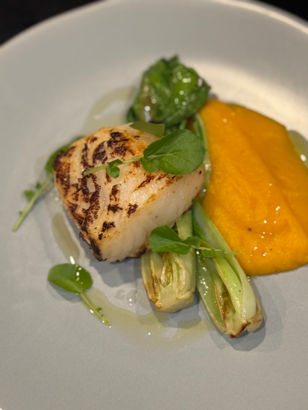 IMG_4866.jpeg IMG_4866.jpeg