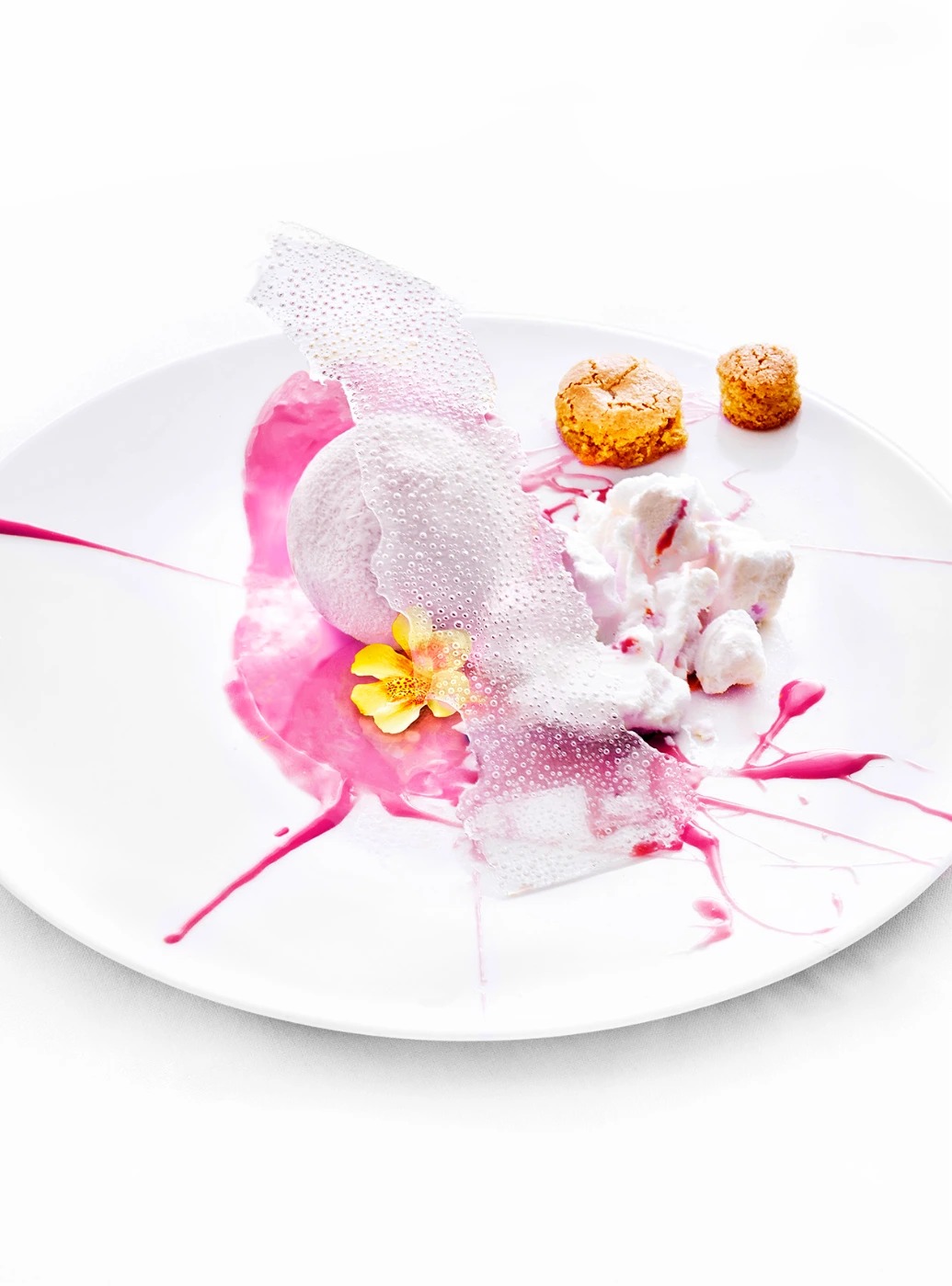 TW 5-22 1139 low res.jpg