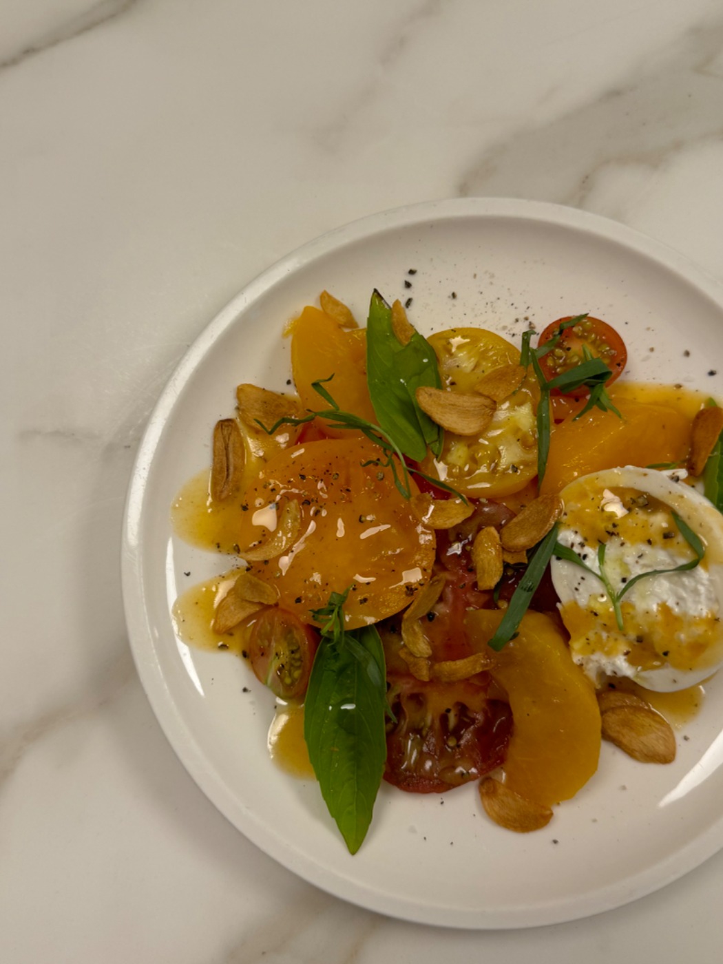 IMG_5108.jpeg IMG_5108.jpeg