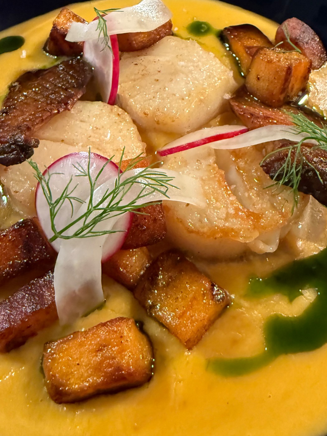 IMG_5518.jpeg IMG_5518.jpeg