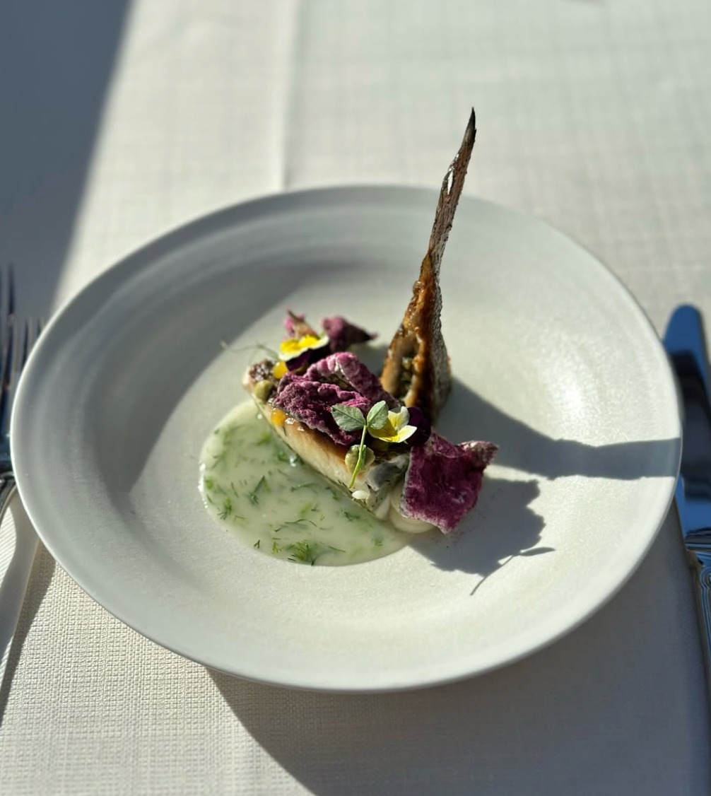 Ekran Resmi 2026-01-01 22.06.09.png