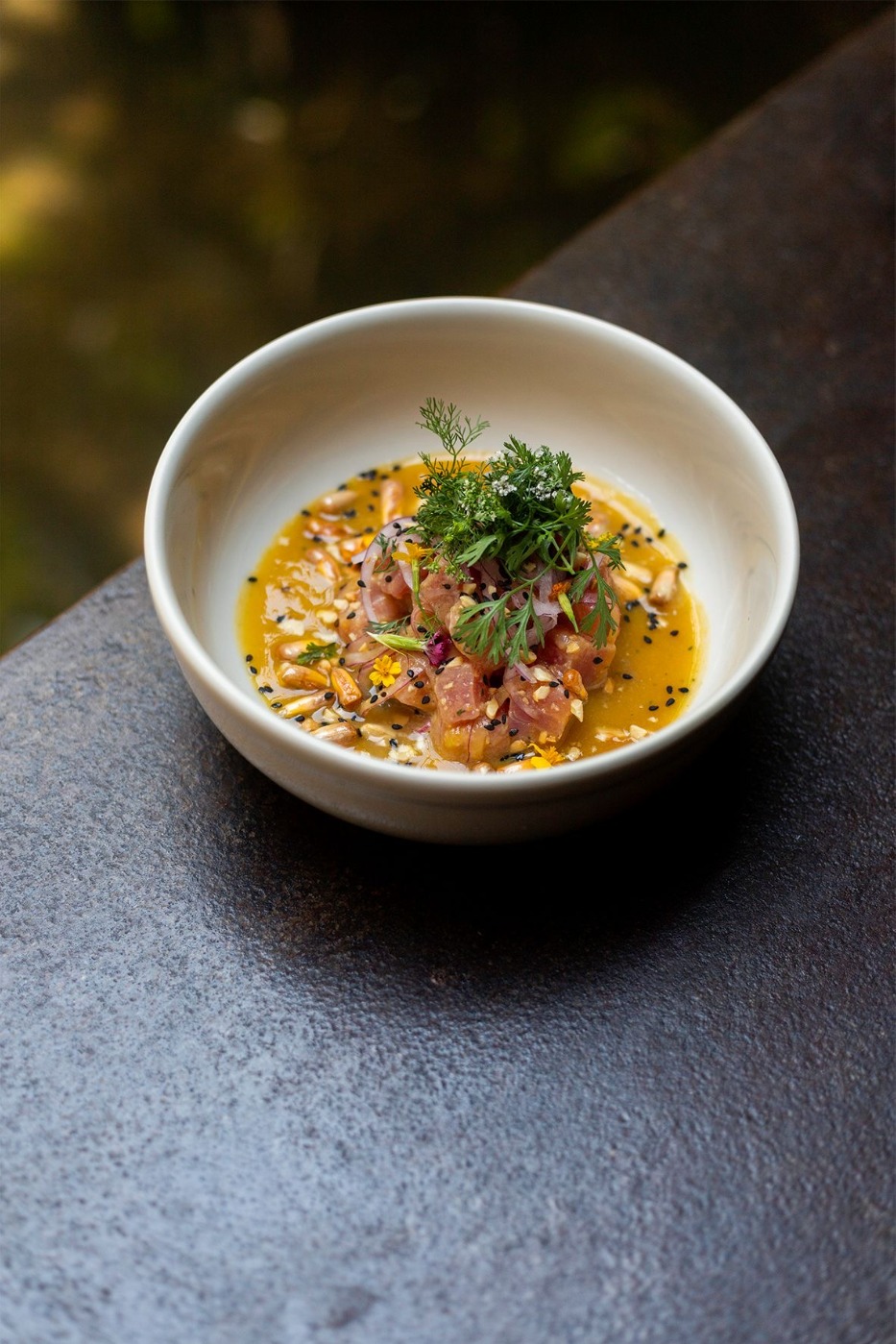 IMG_2027.jpeg IMG_2027.jpeg