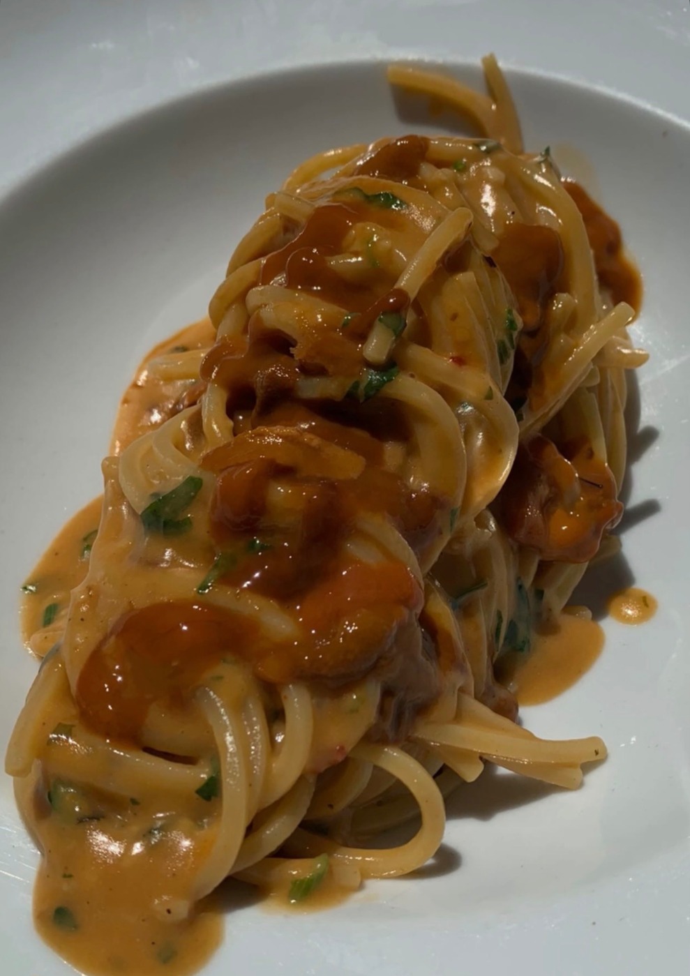 IMG_3921.jpeg IMG_3921.jpeg