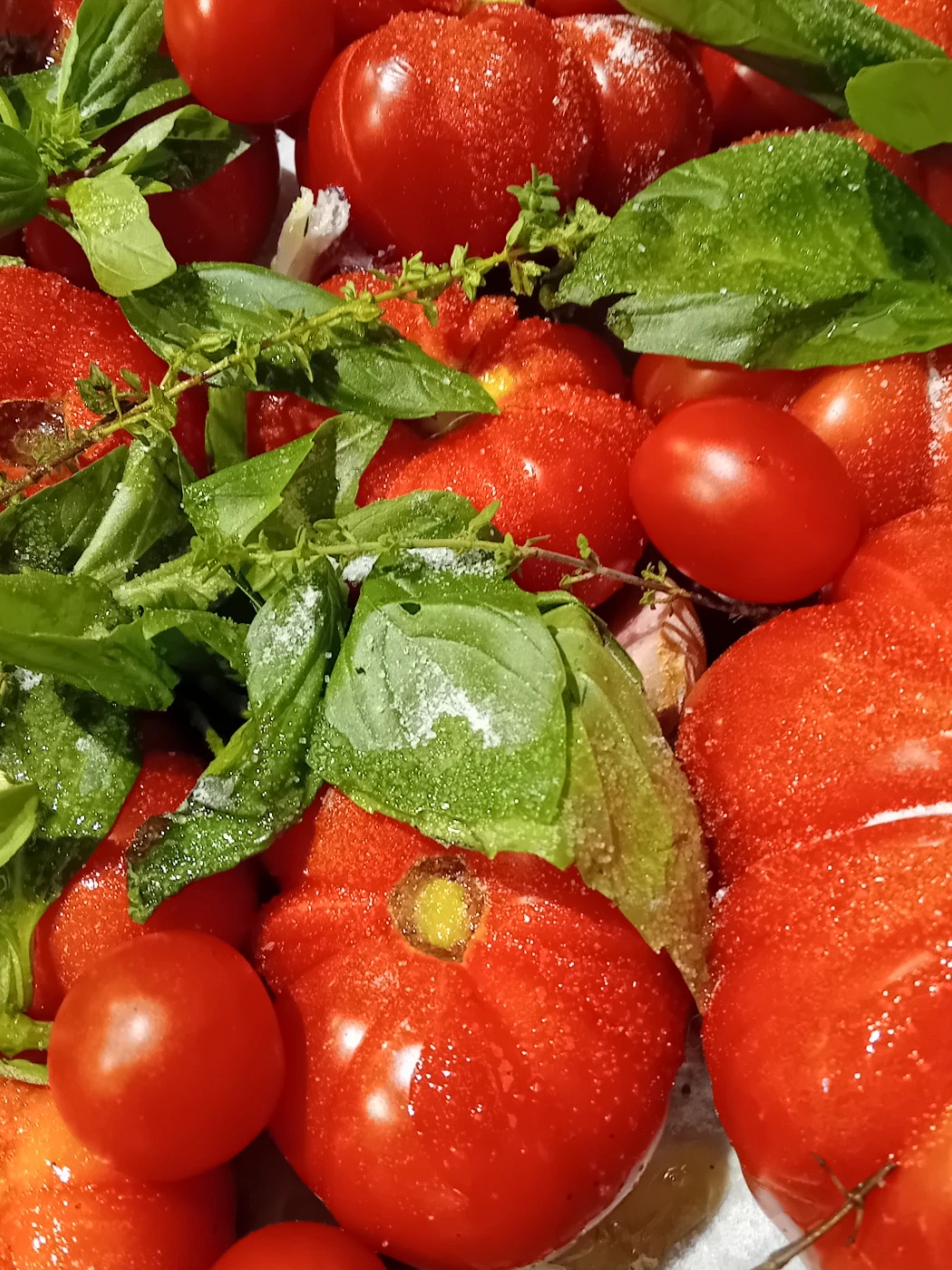 20250822_145951.jpg 20250822_145951.jpg