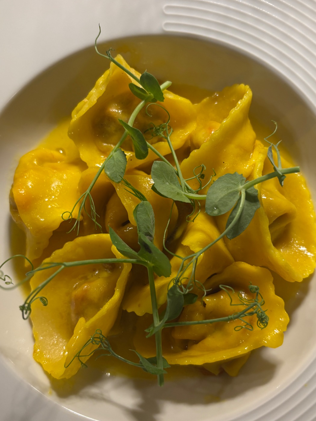 IMG_2379.jpeg IMG_2379.jpeg