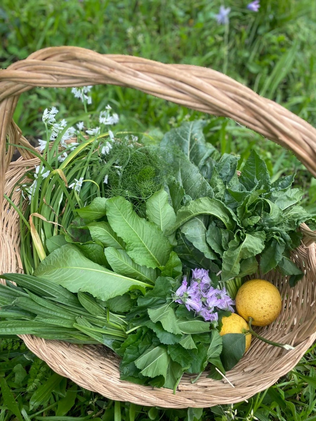 IMG-20251124-WA0040.jpg IMG-20251124-WA0040.jpg