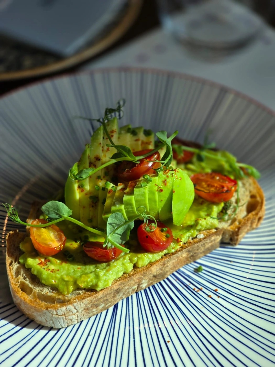 WhatsApp Image 2026-01-02 at 12.49.55 PM.jpeg WhatsApp Image 2026-01-02 at 12.49.55 PM.jpeg