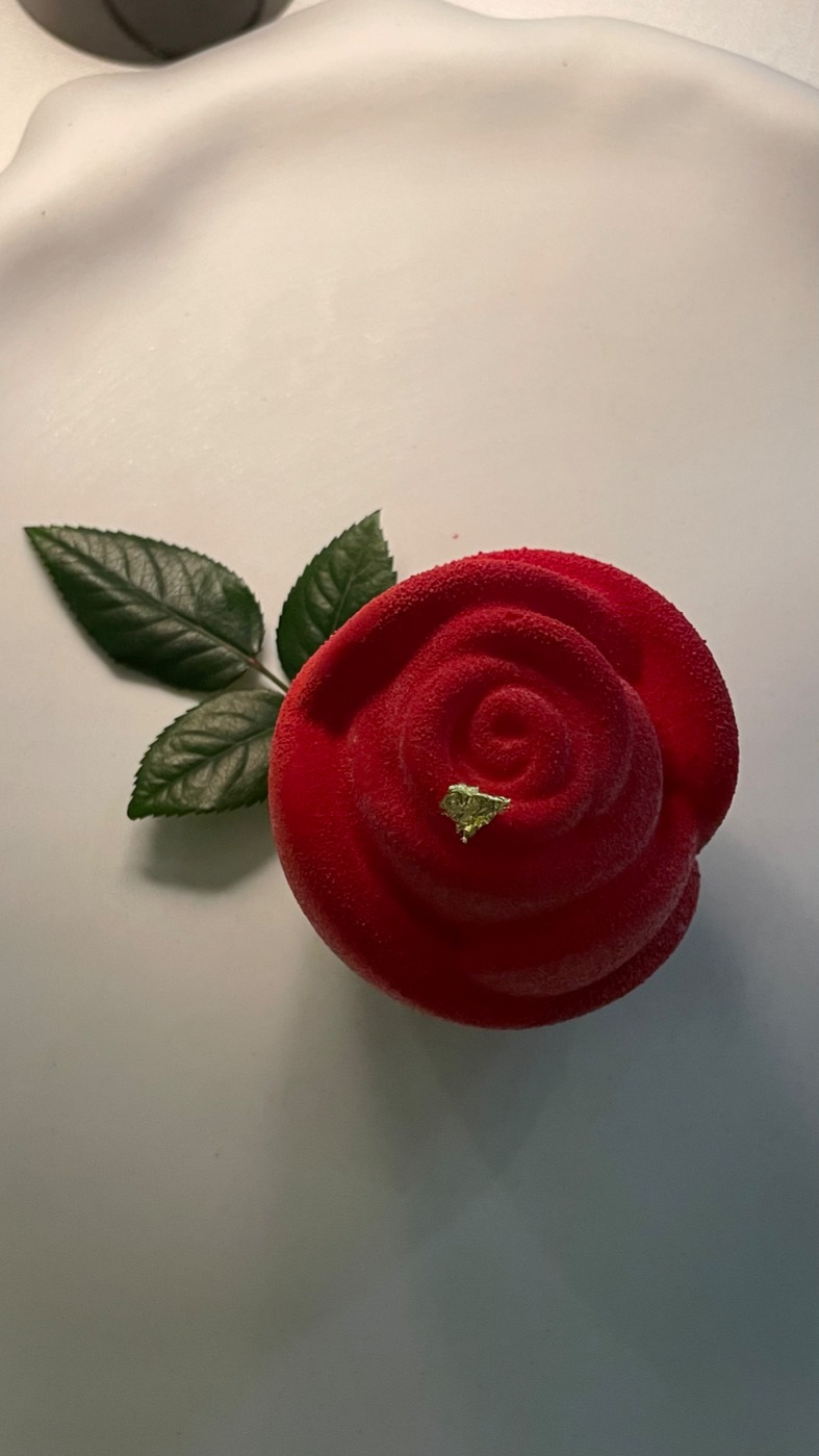 IMG_5547.jpeg IMG_5547.jpeg