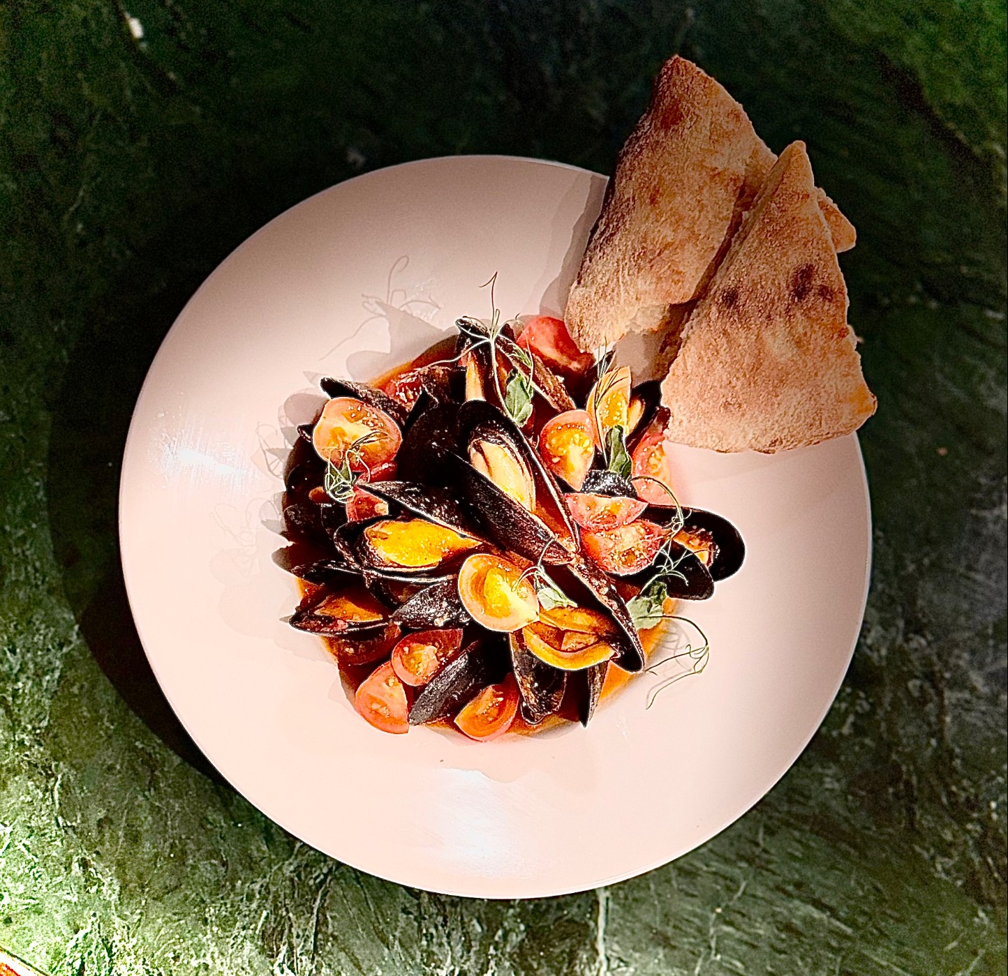 IMG_1769.jpeg IMG_1769.jpeg