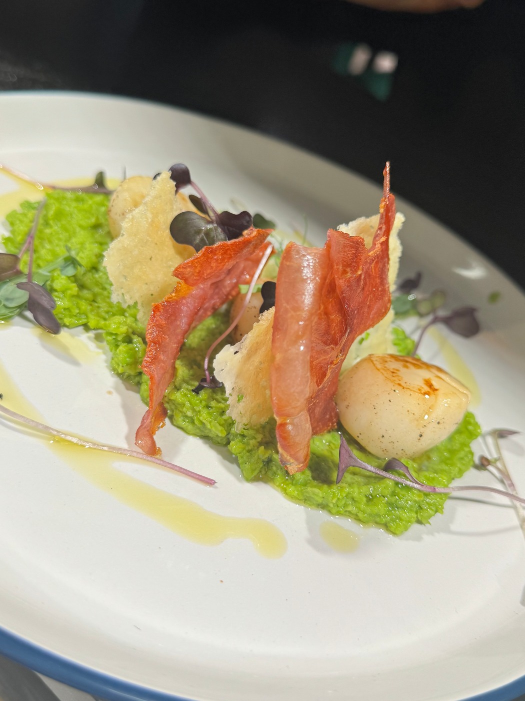 IMG_1718.jpeg IMG_1718.jpeg