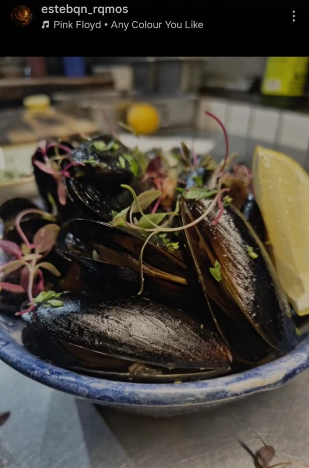 1000111969.png 1000111969.png