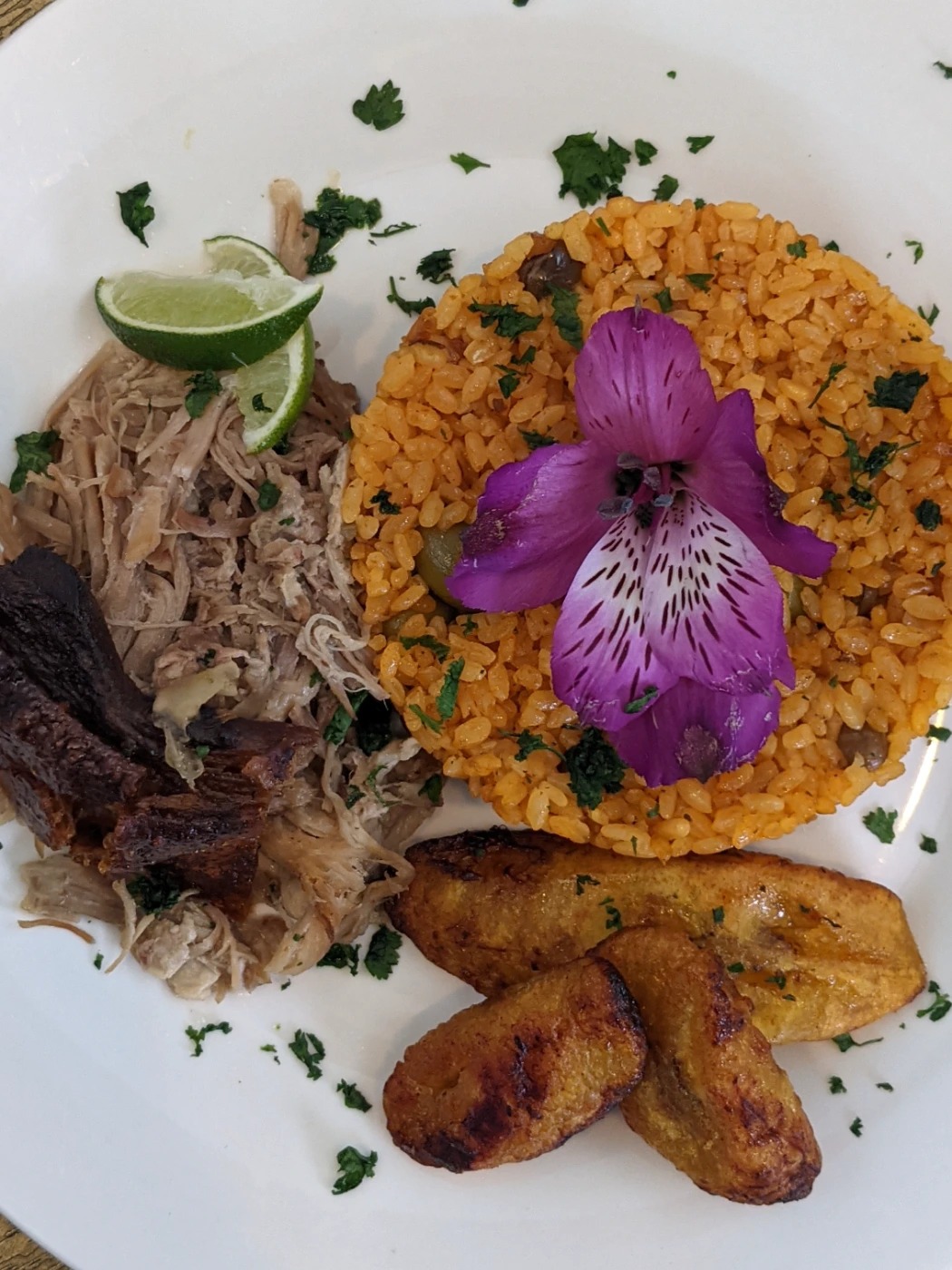 e5e81ba2-244b-4305-88a5-c0cc5f5da9ad-1_all_8553.jpg e5e81ba2-244b-4305-88a5-c0cc5f5da9ad-1_all_8553.jpg