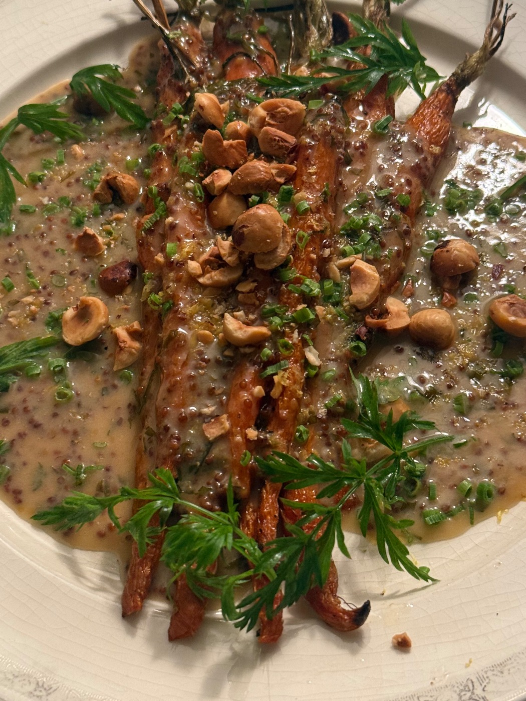 IMG_5981.jpeg IMG_5981.jpeg