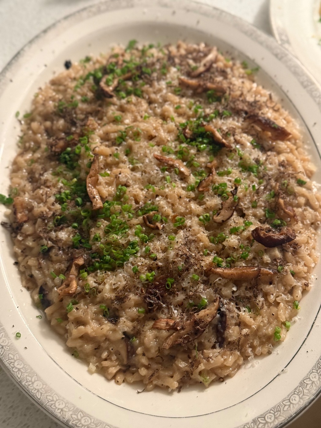 IMG_5982.jpeg IMG_5982.jpeg