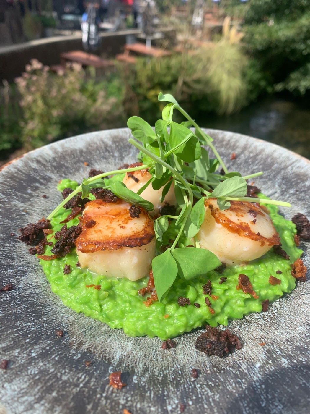 373aa3a0-d97b-4244-86dd-e990d6bb2ba5.jpeg 373aa3a0-d97b-4244-86dd-e990d6bb2ba5.jpeg